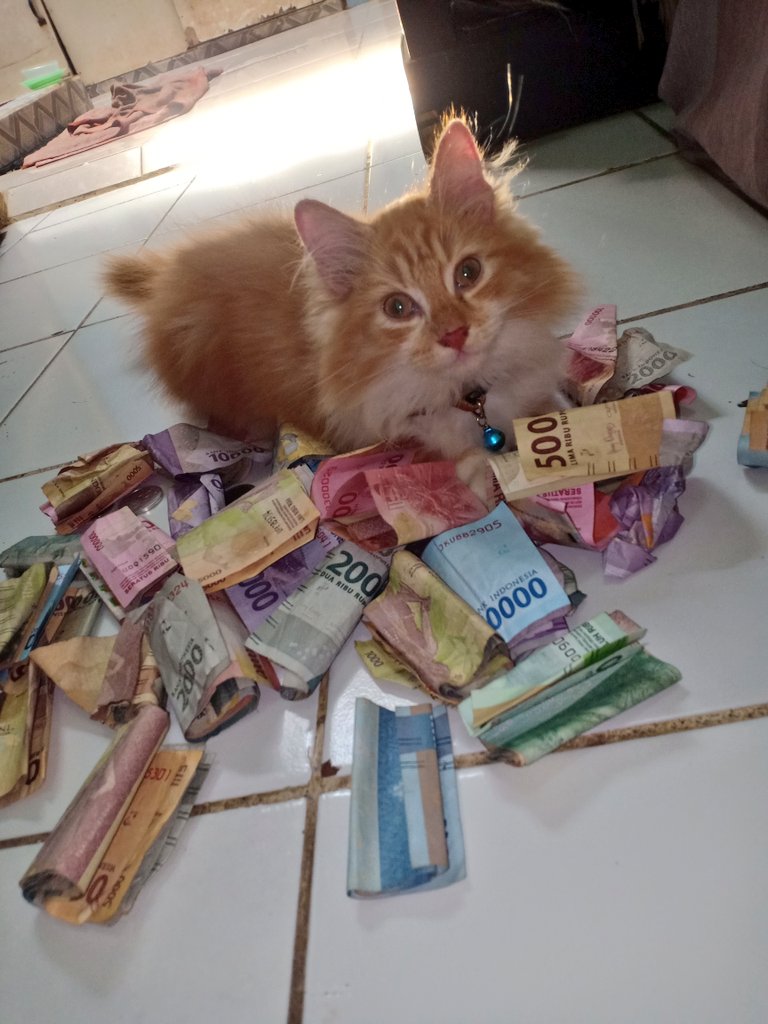 🐈‍⬛ Mba, ini setoran hari ini ya. Jangan lupa wishkas aku ya.