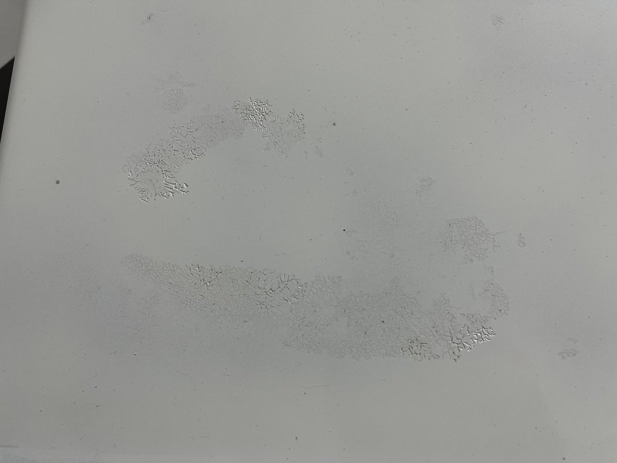 zext_firecivic's tweet photo. グランドシビック用リアウイング
未使用アウトレット品になります。
ゲルの気泡や縮みが出てますので塗装前提の方お得かと思います！
1.5万で取りに来れる方限定でお願いします🙇‍♂️

#ef1 #ef2 #ef3 #ef6 #ef7 #ef8 #ef9 #civic #vtec  #eg3 #eg4 #eg6 #eg8 #eg9 #ek2 #ek3 #ek4 #ek9 https://t.co/ypxjBZgoMN