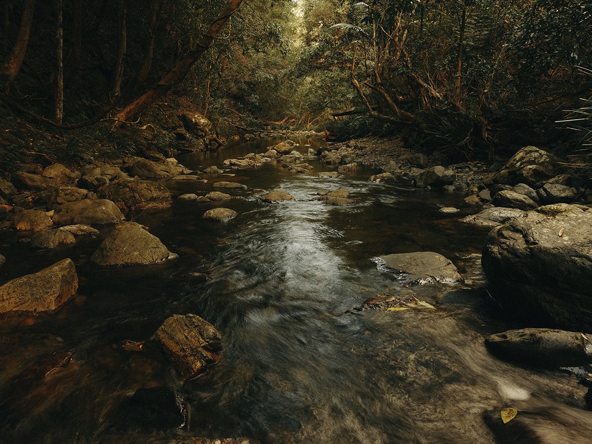 FujifilmX_AU's tweet photo. @DrewHopperPhoto took the new Fujifilm #GFX50SII out for a spin to find out what all the fuss is about. 

"There’s no denying how powerful the sensor is, especially when cropping images tight in post."

Read the full review here: https://t.co/zFnAGPOnov

#fujifilmreview https://t.co/bXWFTuwy6E