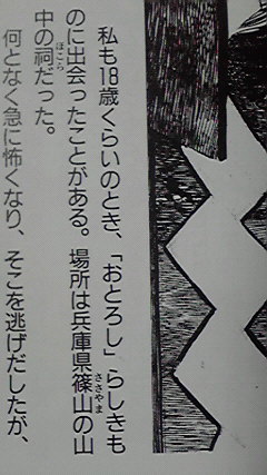 おとろし(と仮託された感覚)っポイ感じをあじわった って部分のやつか 