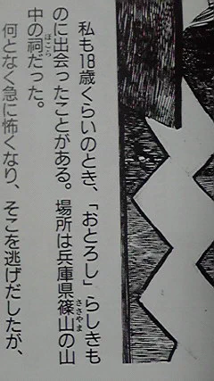 おとろし(と仮託された感覚)っポイ感じをあじわった って部分のやつか 
