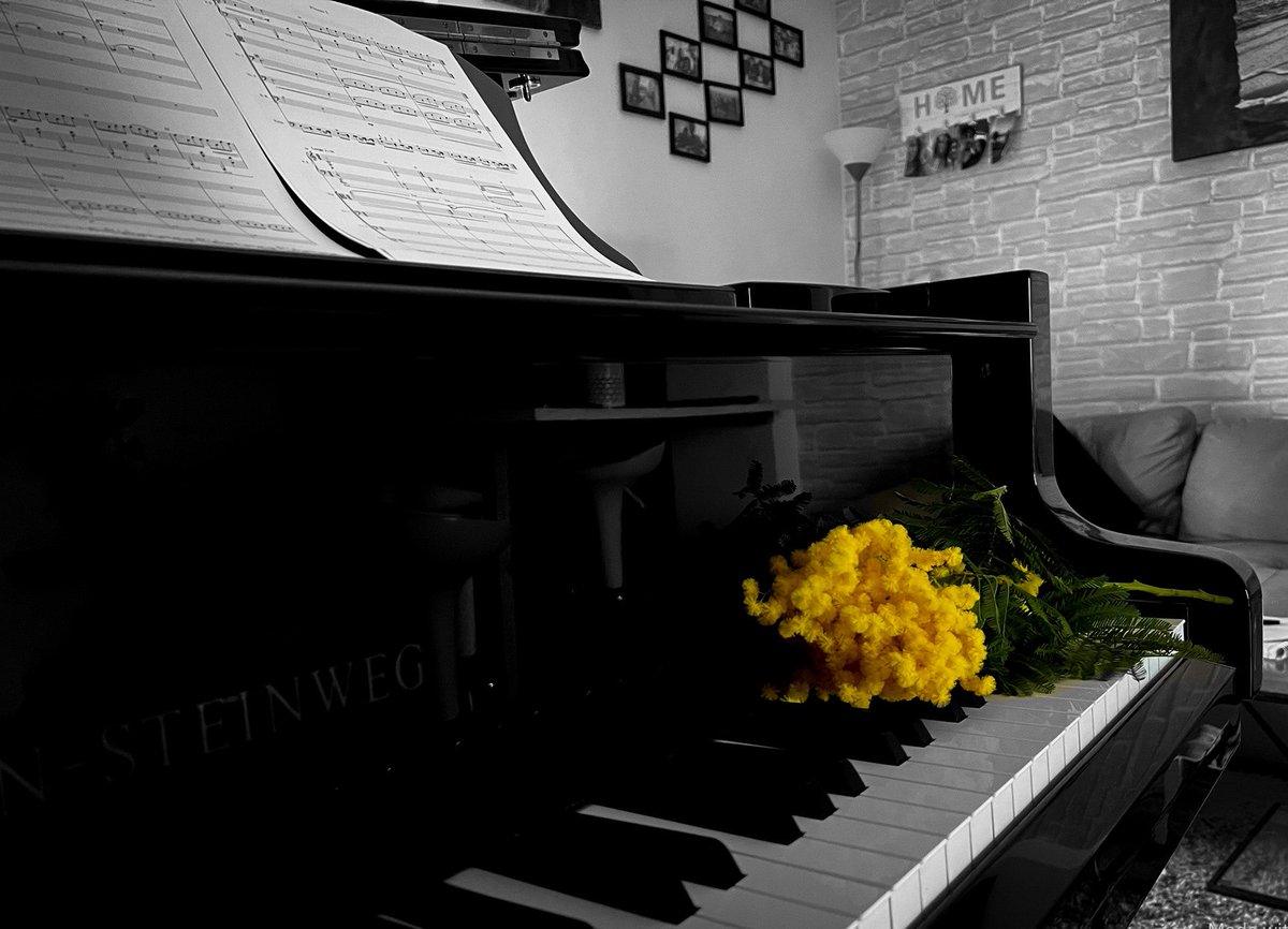 Stefano D’Amico tweet media