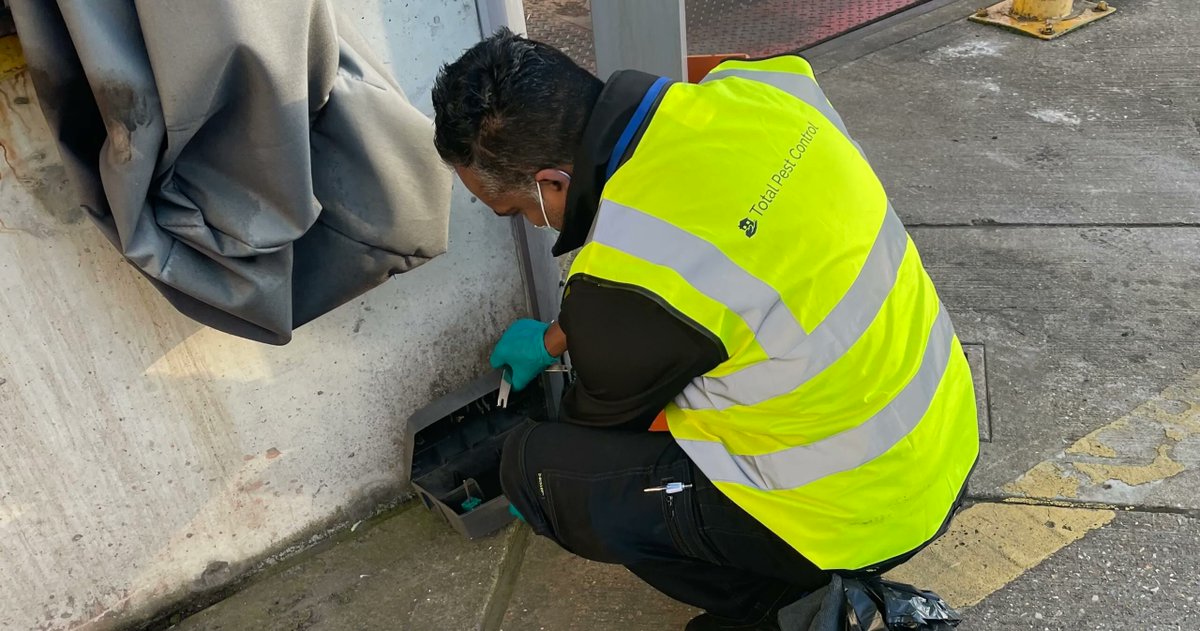 TotalPestUK's tweet photo. Looking for a commercial pest control contract?

Check out our latest blog, so you know what to look for, and  book your free site survey.👇

https://t.co/lRzjc4AzsK https://t.co/vST2valHVe