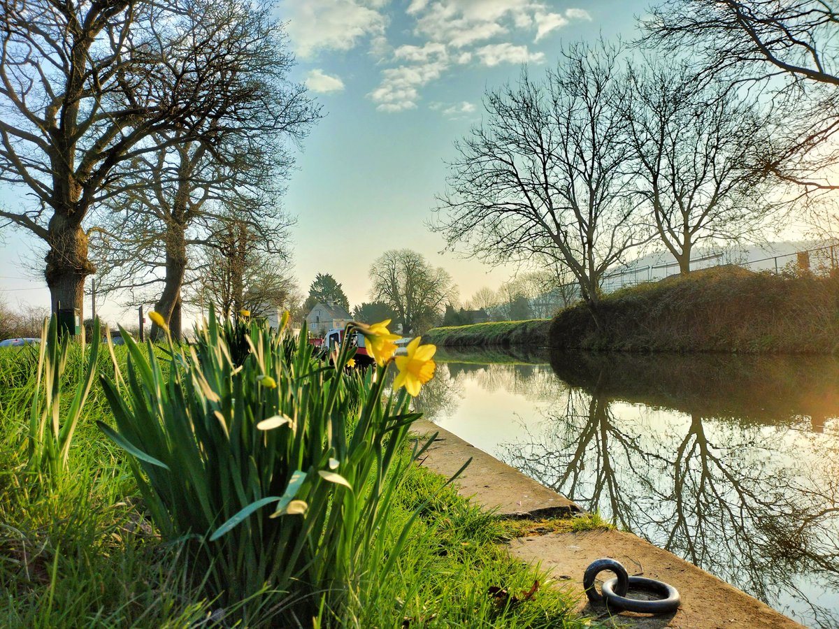 BathRunner's tweet image. Good morning sunshine 🌞🌞