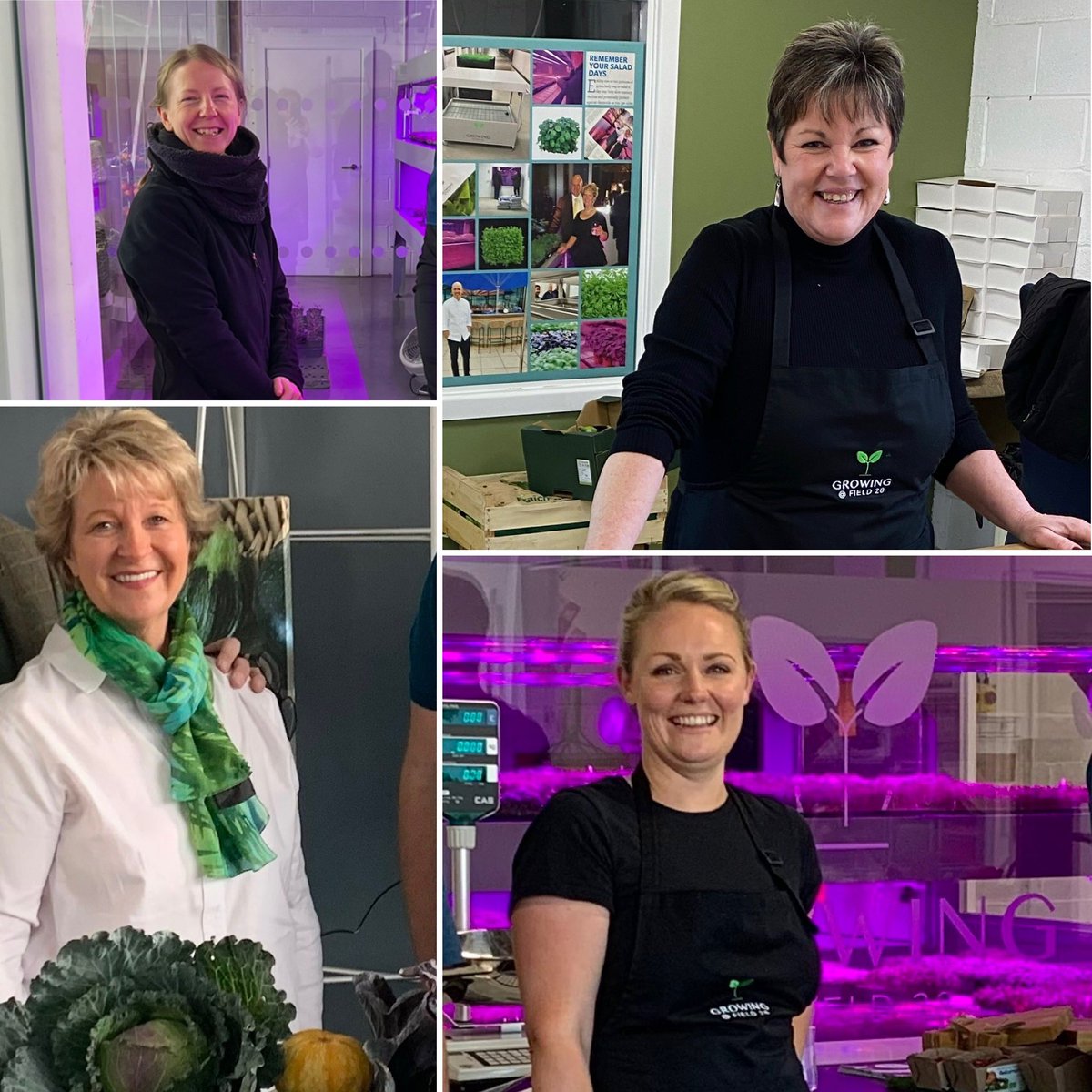 Jan Dobbs tweet media