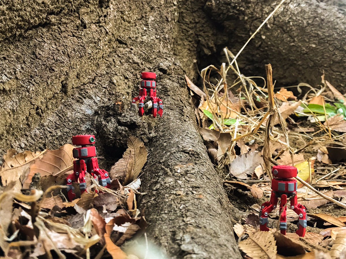 kuga_suzuka's tweet photo. 【👾 初！プレゼント企画 👾】

『 BEETLE - 1/35scale 』(通称：ちびーとる)
の塗装済完成品を1名様にプレゼント致します！

全長約3.8cm、首のみ左右に可動します。

フォロー＆RTで応募完了！
締め切りは3月13日までです。

よろしくお願いします！

#ちびーとる
#オリジナルフィギュア #アートトイ https://t.co/OEWb8QZdmW
