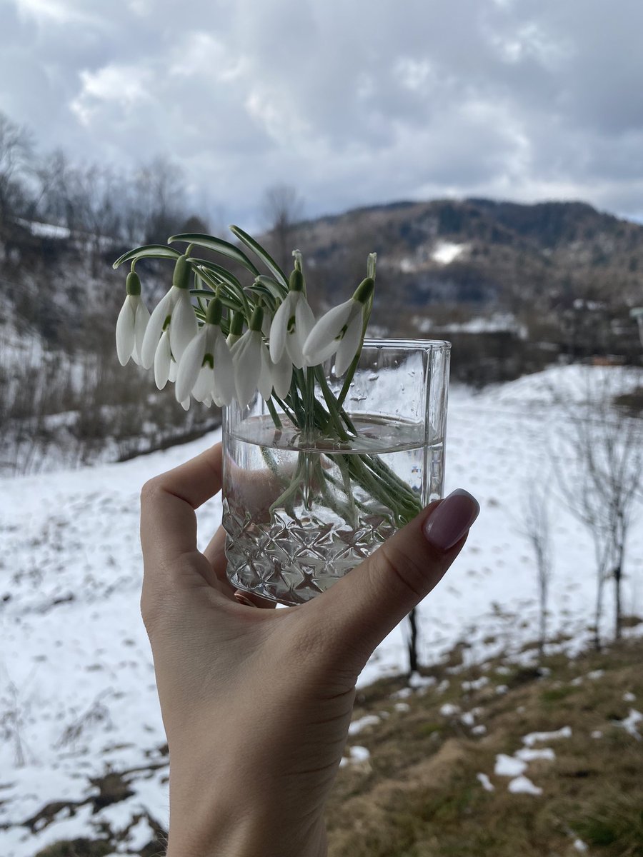 lavhanna_art's tweet photo. The old lady next door let my son pick snowdrops for me 💔
Happy Woman’s Day🌸 https://t.co/X0B0d1DN4H