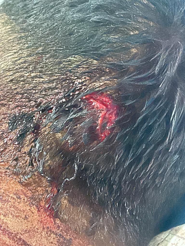 Shubham_Jadhav3's tweet image. वाळूज पोलिस स्टेशन हद्दीत कंप्युटर इंजिनिअरचे अपहरण करून जीवंत मारण्याचा प्रयत्न, तरीही आरोपी मोकाट
#noActiontaken #cpAurangabadpolice
@OfficeofUT @Dwalsepatil @AbadCityPolice @AjitPawarSpeaks @Dev_Fadnavis @DGPMaharashtra @CMOMaharashtra @mygovMaha