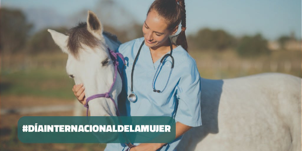 ocvespana's tweet photo. El presente y futuro de la veterinaria👩‍⚕️ se escribe con nombre de mujer. La feminización de la profesión comenzó en los años 80, cuando comenzaron los estudios universitarios muchas mujeres, y hoy suponen el 76% de los alumnos😉#DíaInternacionalDeLaMujer #OCV #8M2022 https://t.co/61jfuvE5mB