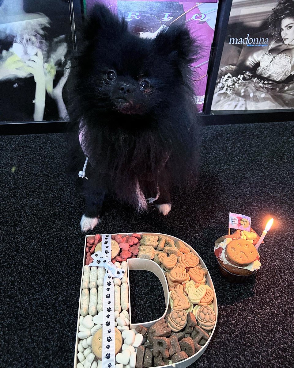 nataliefoolxvx's tweet photo. Happy 1st Birthday to my little critter boy ♥︎ I wish I washed your face after your puppuccino for your birthday photo, you little scruff. https://t.co/yQxm5SnTgD