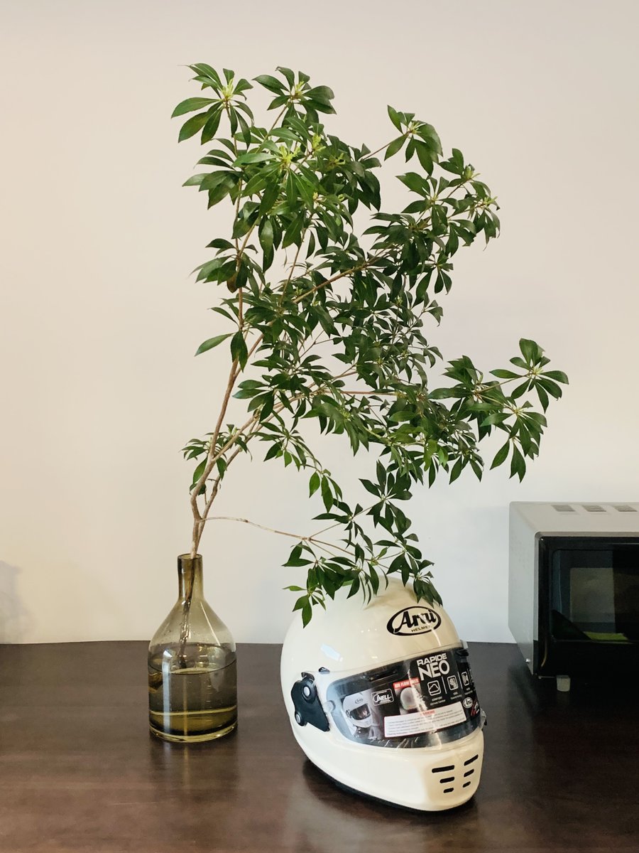 Kangdandan (@kangddan1) on Twitter photo 