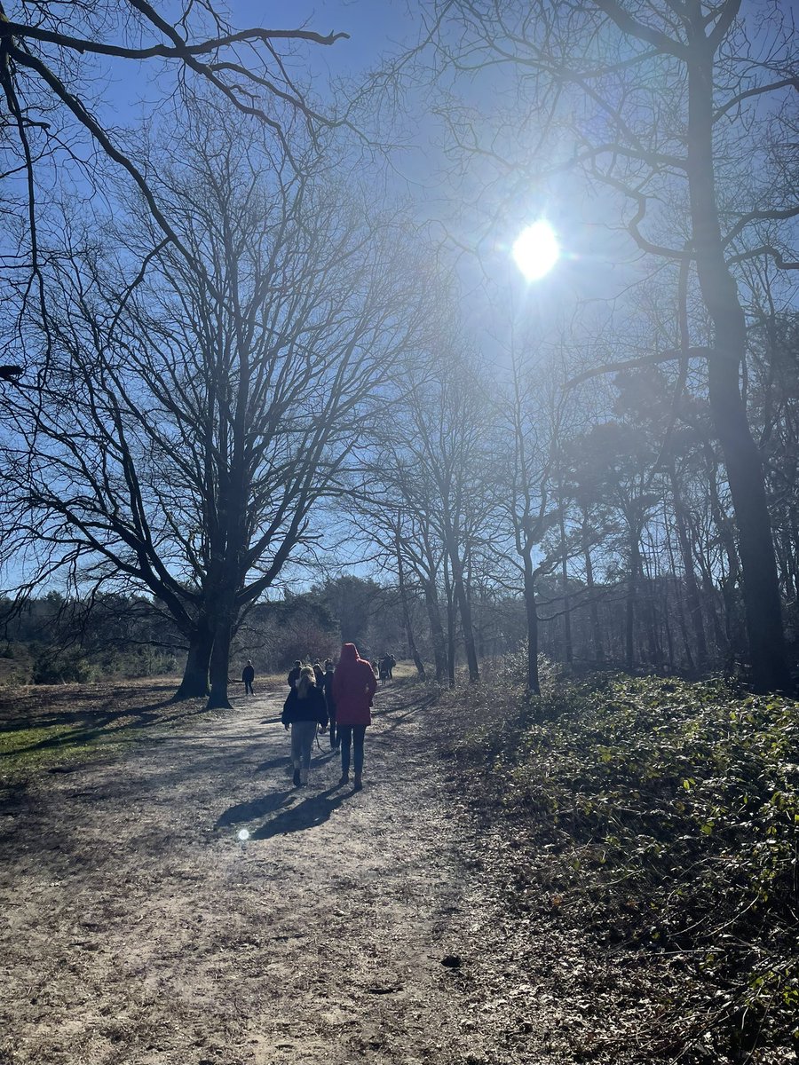 EigenwijzeTine's tweet photo. Op excursie met de klas van Bo ☀️ #Brunssummerheide #hulpouder #Bo #natuurmonumenten #wandelen https://t.co/gxnkcCG3ye