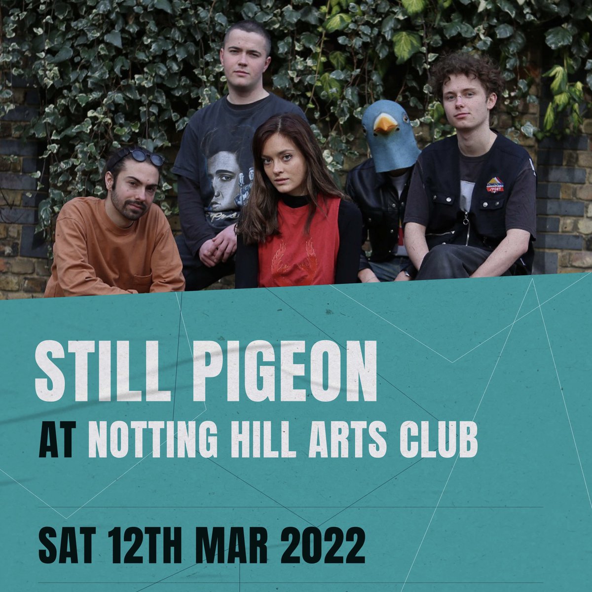 Still Pigeon tweet media