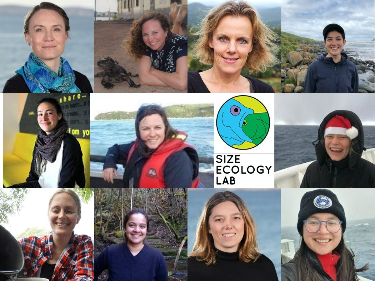 In recognition of #IWD2022 we're celebrating all the amazing women researchers in <a href="/SizeEcology/">Size Ecology Lab</a> @ImasUtas:  
<a href="/BlanchardJulia/">Julia Blanchard 🏳️‍🌈</a> <a href="/NasherK/">Kirsty L. Nash</a> <a href="/AstaAudzi/">Asta Audzi</a> <a href="/CNovaglio/">Camilla Novaglio</a> <a href="/SowdaminiSP/">Sowdamini (She/her)</a> <a href="/Am_Ro_Co/">Amy Rose Coghlan</a> <a href="/VKomyakova13/">Dr Valeriya Komyakova @anthrofish.bsky.social</a> <a href="/AnnabelleErski1/">Annabelle Erskine</a> <a href="/KirstyPinnell/">Kirsty Pinnell</a> <a href="/CorneyInessa/">Inessa Corney</a> Ninna Rynne, Alex Johne &amp; Xintong Qiu