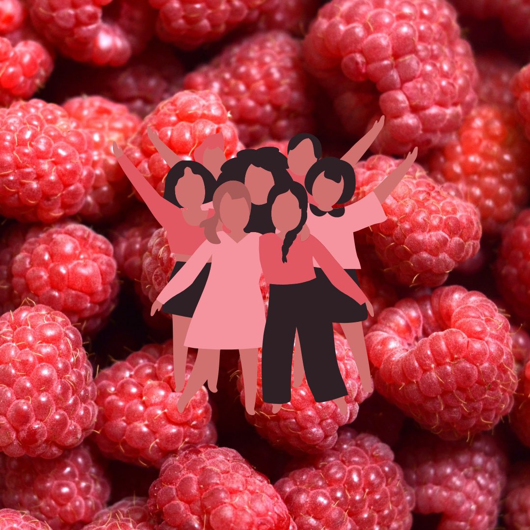 berrygardensuk's tweet photo. HAPPY INTERNATIONAL WOMEN’S DAY!

Driscoll’s® Victoria Blackberries are here to help you and the women around you this International Women’s Day, celebrating you all in the best way possible 🤩.

#InternationalWomensDay2022 #BreakTheBias #berrygardens #berrygoodforyou https://t.co/iYSPUo2Fc6