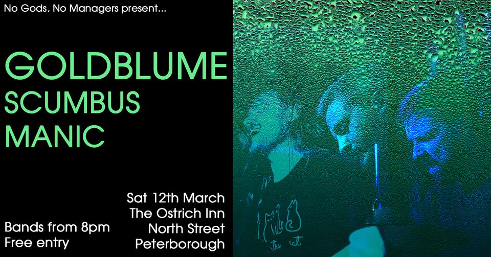 THIS saturday at <a href="/ostrichinn/">Liam Scanlon</a> in Peterborough, we're gonna kick out the jams for No Gods, No Managers with <a href="/ScumbusUK/">ScumbusUK</a> and Manic. Freeeee entry from 8!