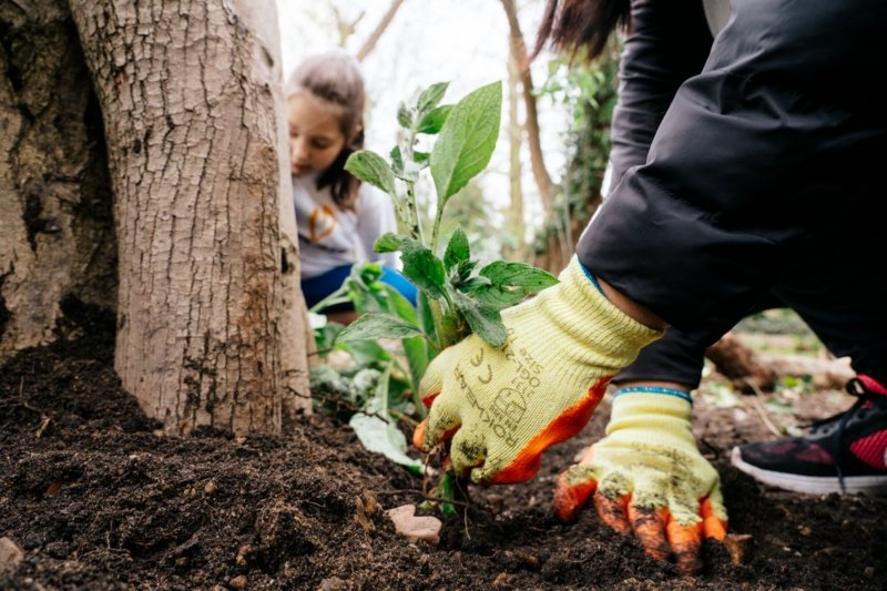NHSForest's tweet photo. Check this out from @UKSustain:
If you’re linked to a garden or growing space, you can register the space for free on the Good to Grow website. You’ll get access to helpful resources for promoting your garden and for hosting activities. Sounds good to us!
https://t.co/midIyQCJrR https://t.co/Ws3m1rEgVj