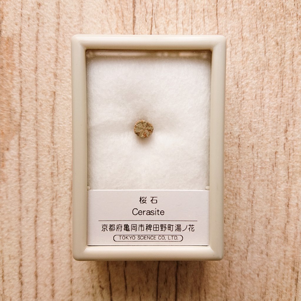 Maya TAKAHASHI／高橋 まや tweet media