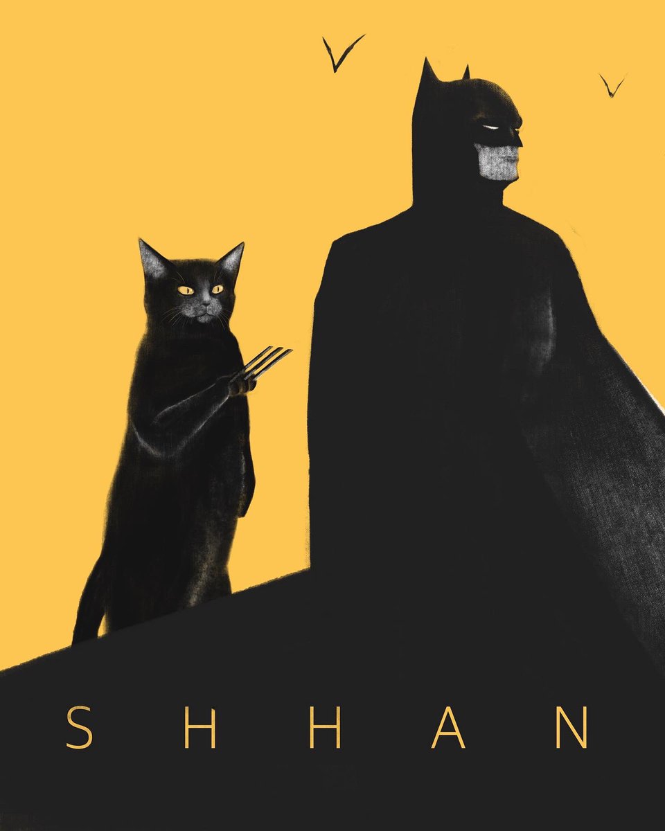 SHHAN tweet media