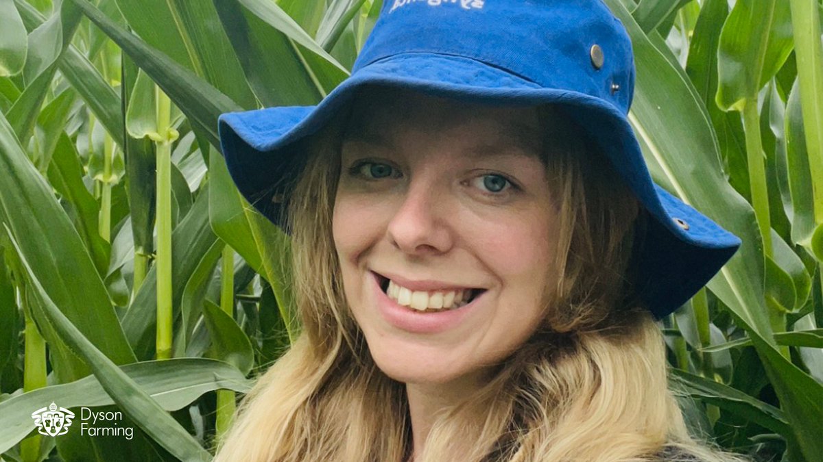 DysonFarming's tweet photo. It's our brilliant people that power our ambition to be a force for good in farming. Four women talk about their roles at Dyson Farming https://t.co/HJYD8OYgTF #IWD #BreakTheBias #NotJustFarming #Agriculture #Careers #Dyson #Farming #WomenInFarming https://t.co/45xEAFPNJg