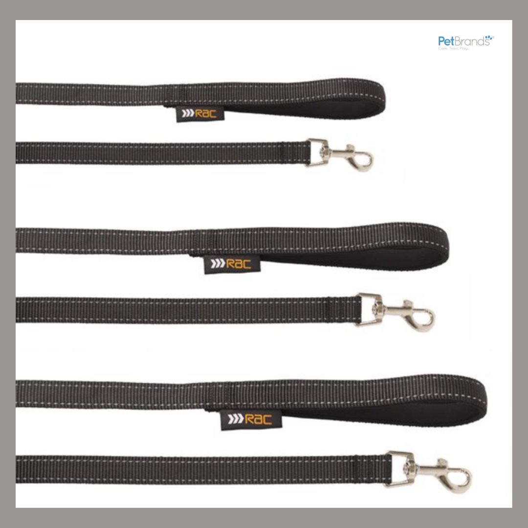 Complement the RAC Advanced Walking Harness with the Ultra-Reflective Lead!

#RAC #PetBrands