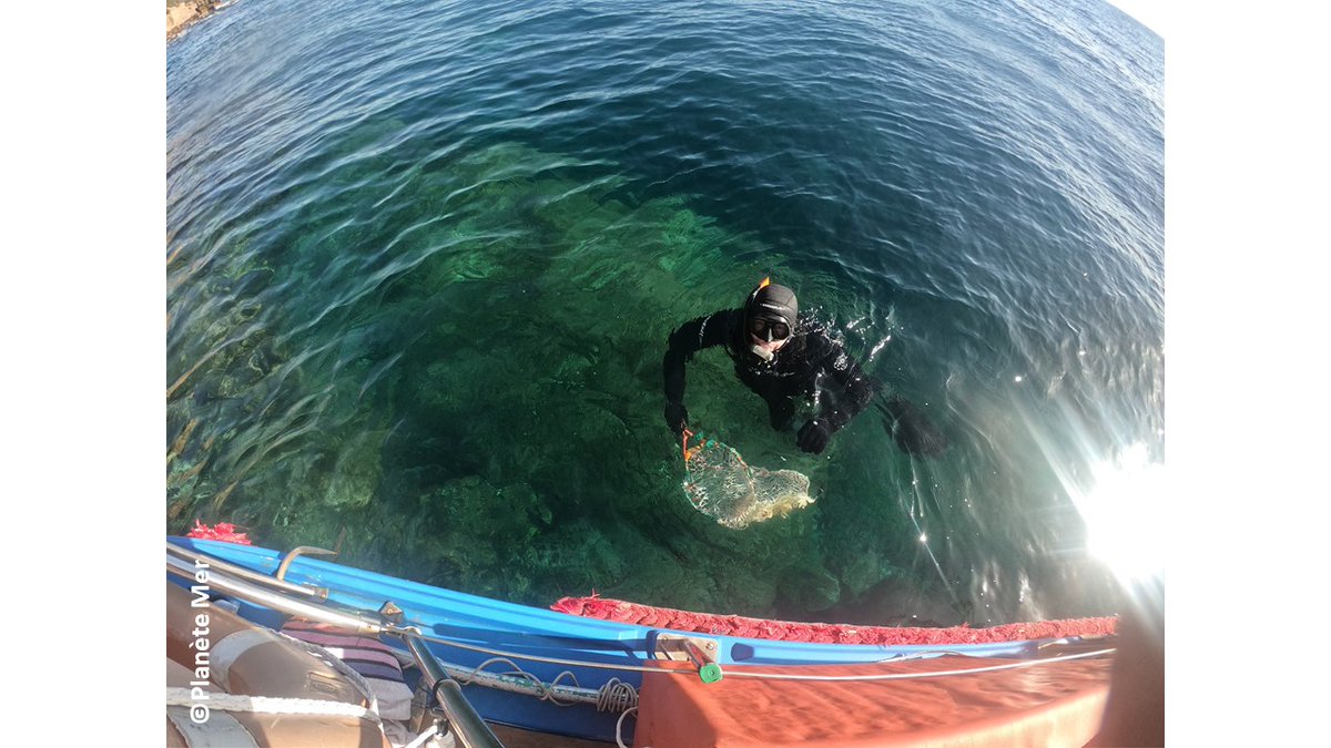 PlaneteMer's tweet photo. 🎣 #PELAMéd à la pêche aux #oursins avec un pêcheur de Saint-Mandrier-sur-Mer engagé dans la collecte de données sur cette espèce
#Cdpmem du Var @Fonda_Carrefour @fdnc_fr #FranceFilièrePêche @MaRegionSud @metropoleTPM
👉 https://t.co/PPNDpqKpLU https://t.co/GABnmpGyC1