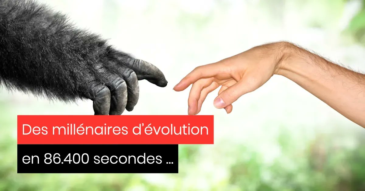 marcvanrymenant's tweet photo. Si l’histoire du cerveau se résumait à une journée, qui serait le Jack Bauer qui déjouerait les fausses certitudes en 24 Heures Chrono ? Le système émotionnel , bien sûr ! https://t.co/D9yp1CN3u6 https://t.co/siLmLzwJj3