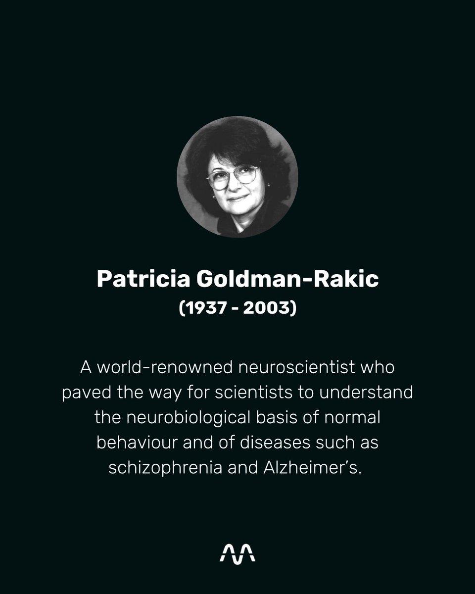 MindLabs tweet media