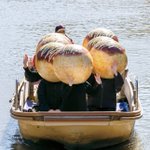 爆笑‼本物の船にリアルな巨大たこ焼きを再現した画像が話題です‼