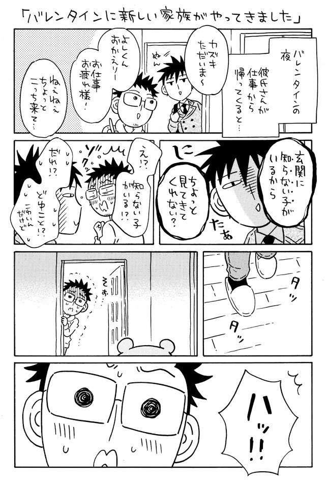 バレンタインに新しい家族(ぬいぐるみ)がやってきました🤎 