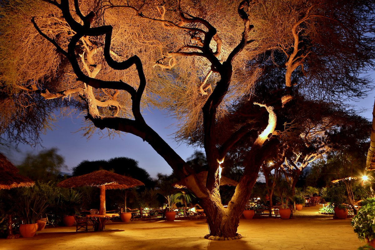 HolidayDealers's tweet photo. 𝐀𝐛𝐬𝐨𝐥𝐮𝐭𝐞𝐥𝐲 𝐒𝐭𝐮𝐧𝐧𝐢𝐧𝐠  is Kibo Safari Camp ➡️https://t.co/BPIr9KQgcX
#Kenya #travel #TembeaKenya #travelkenya #traveling #Amboseli #luxurytravel #luxury https://t.co/q3NOhadKrw