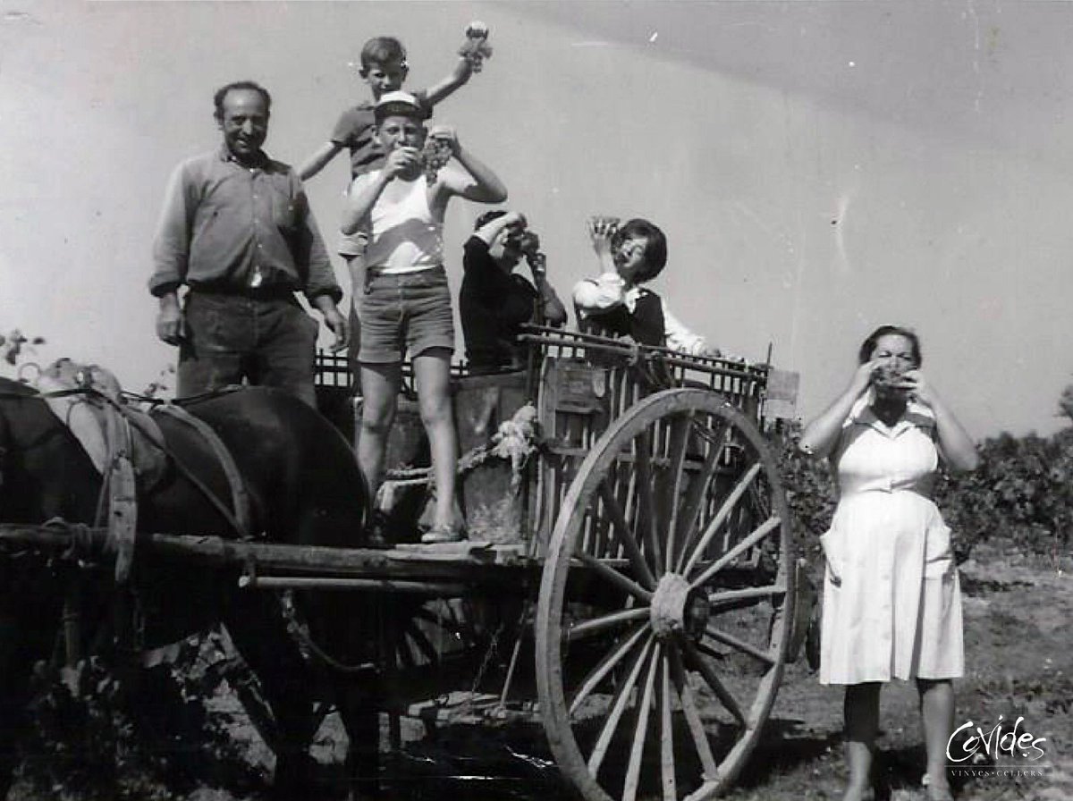 Sempre continuarem amb la tasca de posar en relleu la importància de la figura de les #pageses dins del camp català. El 30% dels socis de Covides són #dones. I elles són tan protagonistes com els homes. I és que tots junts, són el motor de la nostra cooperativa. #8M