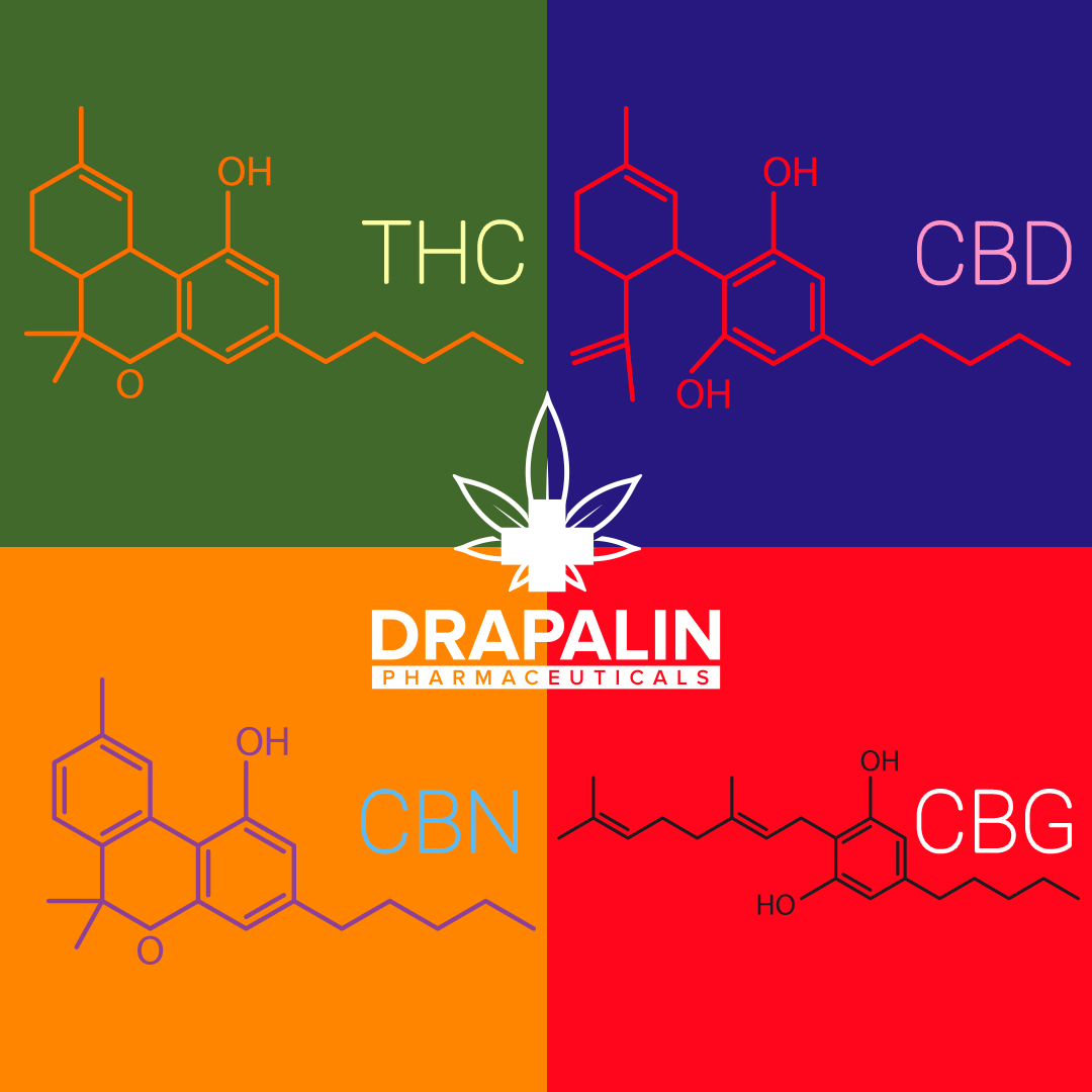 Auf unserer Internetseite drapalin.de erhalten sowohl medizinische und pharmazeutische Fachkreise als auch weitere Interessenten viele Hintergrundinformationen und Wissenswertes. 
 
#drapalin #wissenswertes #FAQ #cannabinoide