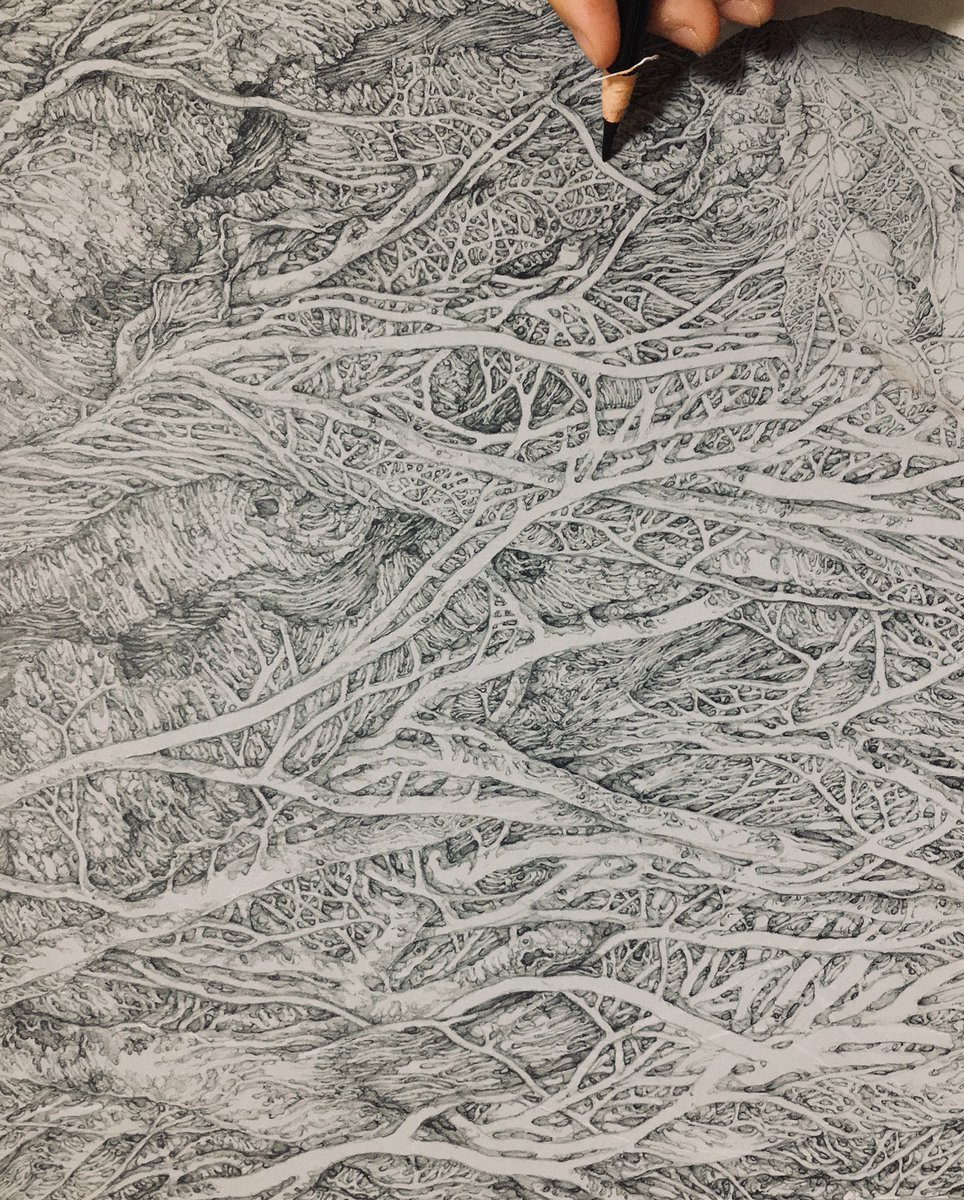 素材についてですが、三菱鉛筆のダーマトグラフ(油性鉛筆)で描いてい