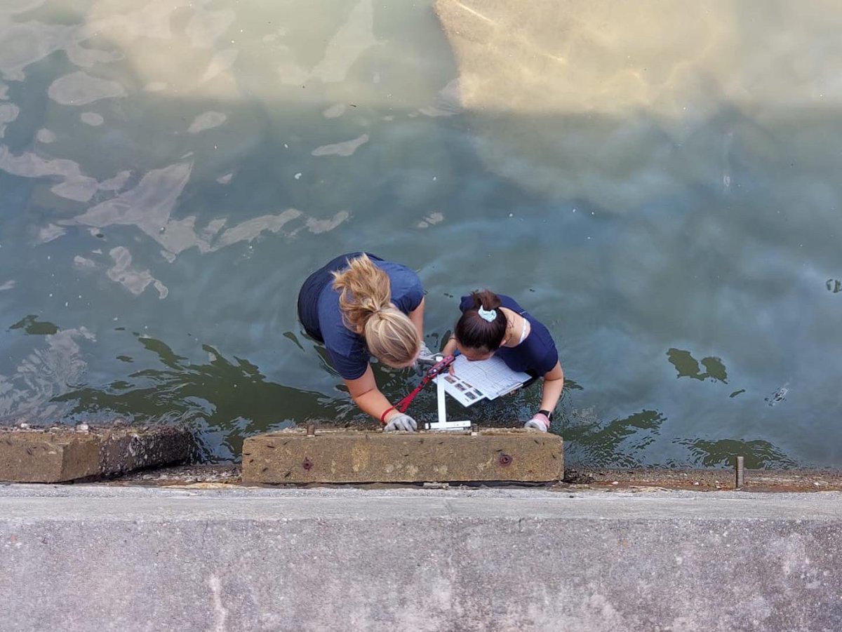 ecoshoreline's tweet photo. Happy #internationalwomensday 👩‍🔬👩🏽👧🏻
(Also #fieldwork throwbacks) #staysafeeveryone 

#breakthebias #womeninstem #stem #womeninscience #iwd2022 #womeninoceanscience #womeninscience #biodiversity #ecoengineering #ecoshoreline #ecologicalrestoration #rehabilitation #ecology https://t.co/Bod6s5E69L