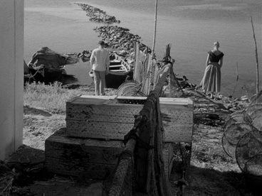 cinesthetic. tweet media