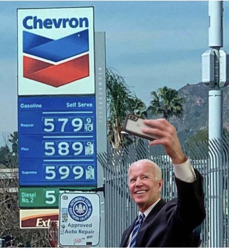 Tosca Austen tweet media