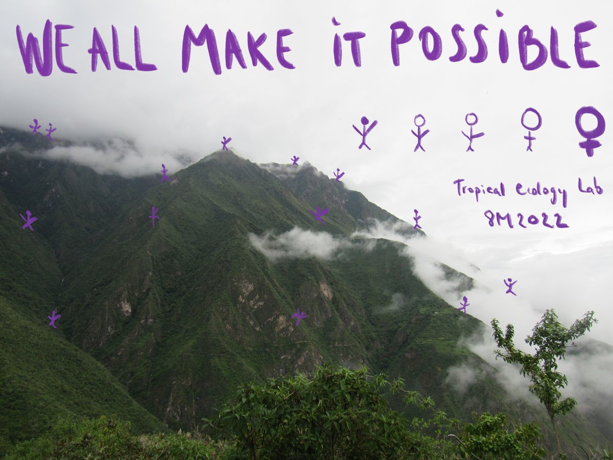 TropEcologyLab's tweet photo. Celebrating women in #TropicalEcology and #ScientificResearch, thank you all for making it possible. 
For the visibilization and recognization of our work #8M2022💜✊💪 https://t.co/JUh7MV35hF