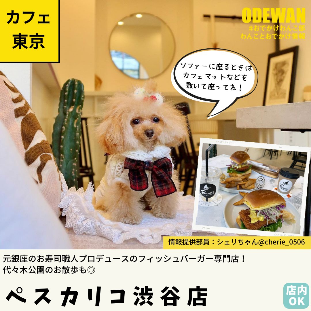 おでかけわんこ部 愛犬とのおでかけ情報 Odewanbu Twitter