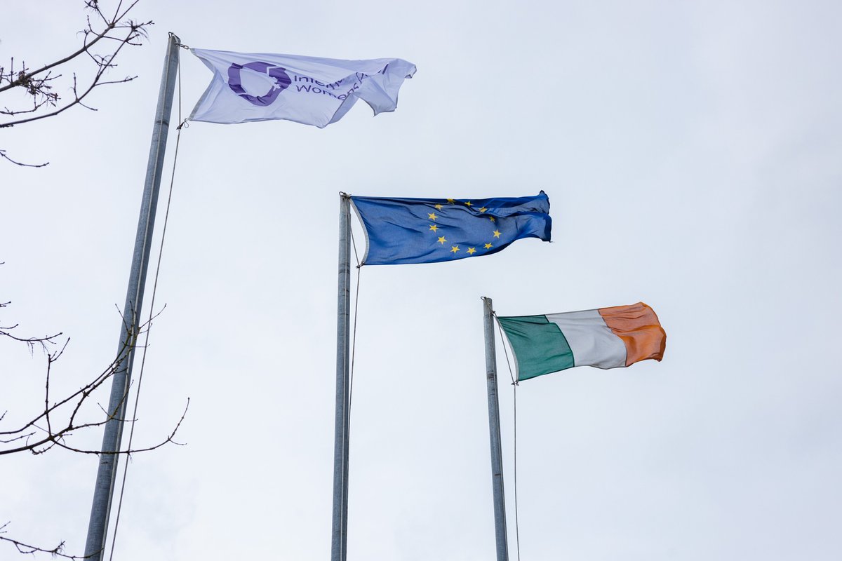 Flags are flying high above our campuses this morning as we celebrate #IWD2022. We have a jam-packed day of activities ahead, including a keynote address by Ireland's first African mayor & an internationally acclaimed art exhibition @LSADatTUS #BreakTheBias