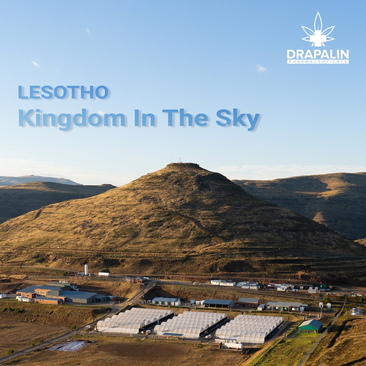 Anbauflächen von <a href="/MGHFullSpectrum/">MG Health</a> befinden sich auf 2000 m Höhe in bergiger und unberührter Umgebung. Hier finden sich optimale Bedingungen für den Anbau von pflanzlichen Arzneimitteln: lange Sonnentage, trockene Luft und reinstes Wasser. 
  
#drapalin #cannabinoide #lesotho
