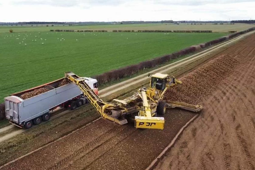 Hauliers – you can now register to tender for the 2022/23 Beet Delivery Service to haul growers’ sugar beet from field to factory. Interested? Register by 5pm on 16th March: landing.britishsugar.com/bds-tender/bds…