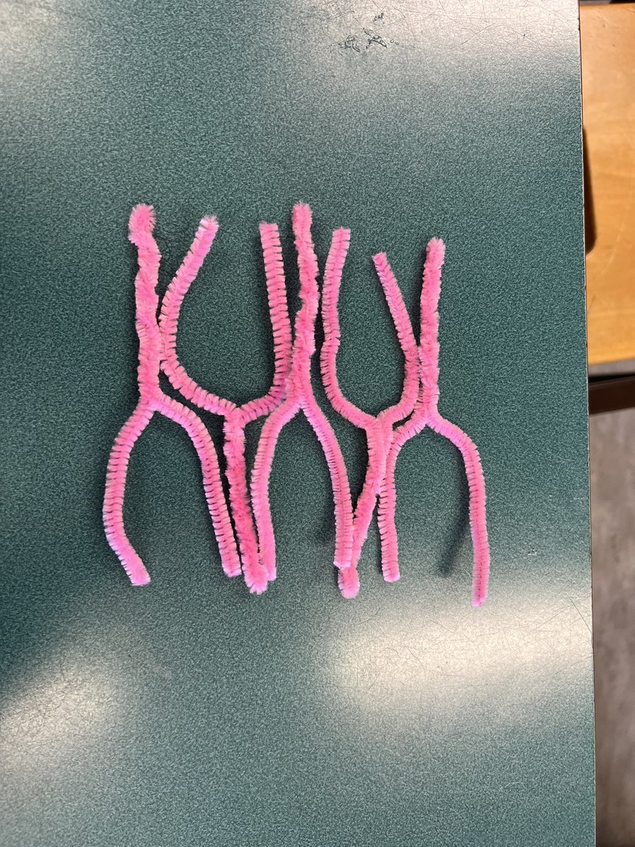 Ross High Science Department tweet media