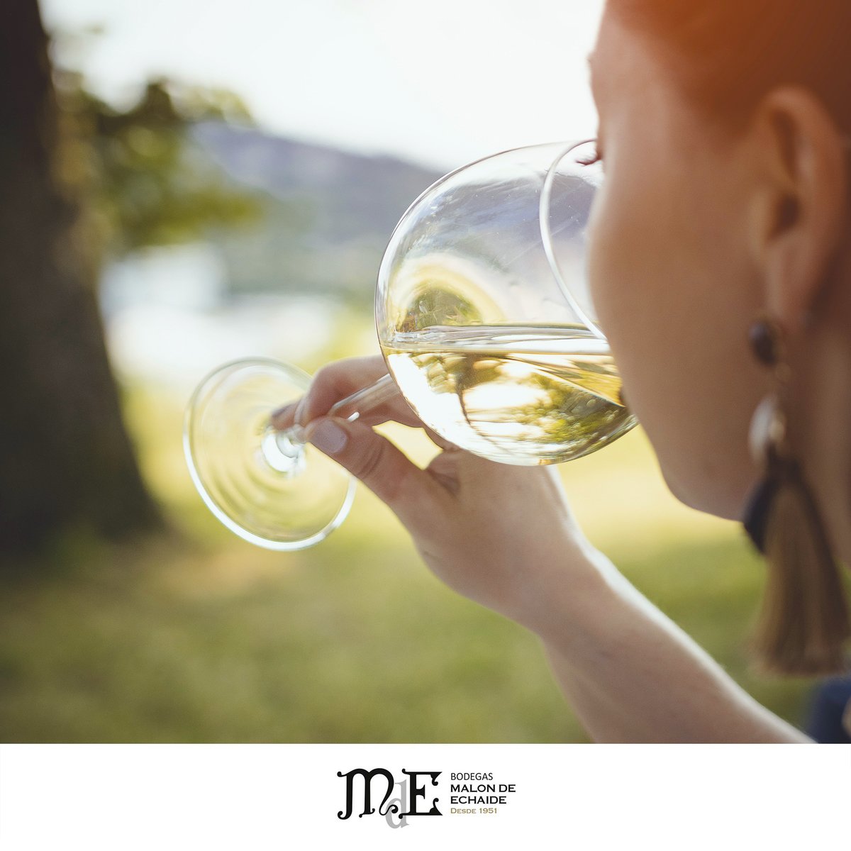 Por el camino andado y por el que queda por andar. Hoy brindamos por el día Internacional de la Mujer. 🥂💜

→ malondeechaide.com
#malondeechaide #navarra #navarrawinelovers