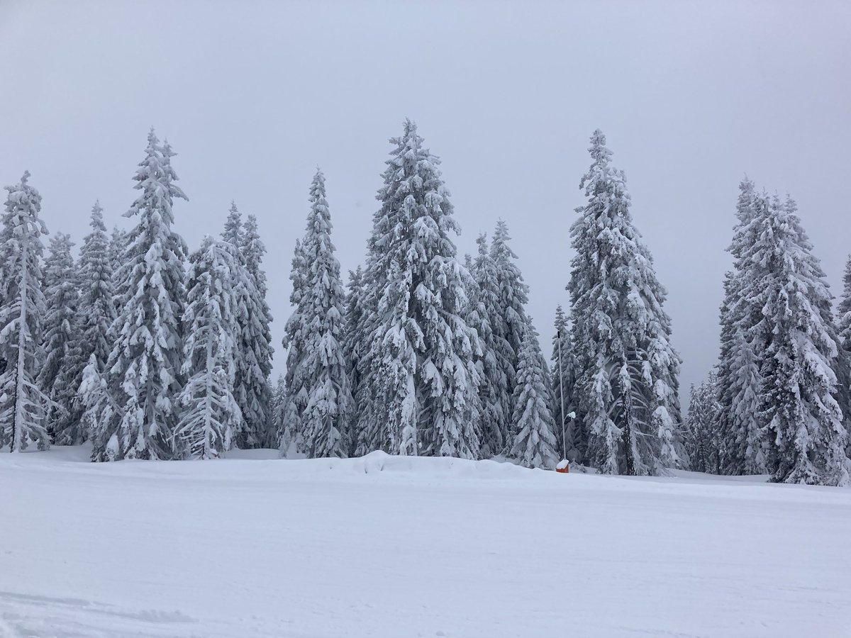 peshano's tweet photo. Малко сняг от днес! Снежни поздрави от нас! #pamporovo https://t.co/C8yxeU571g