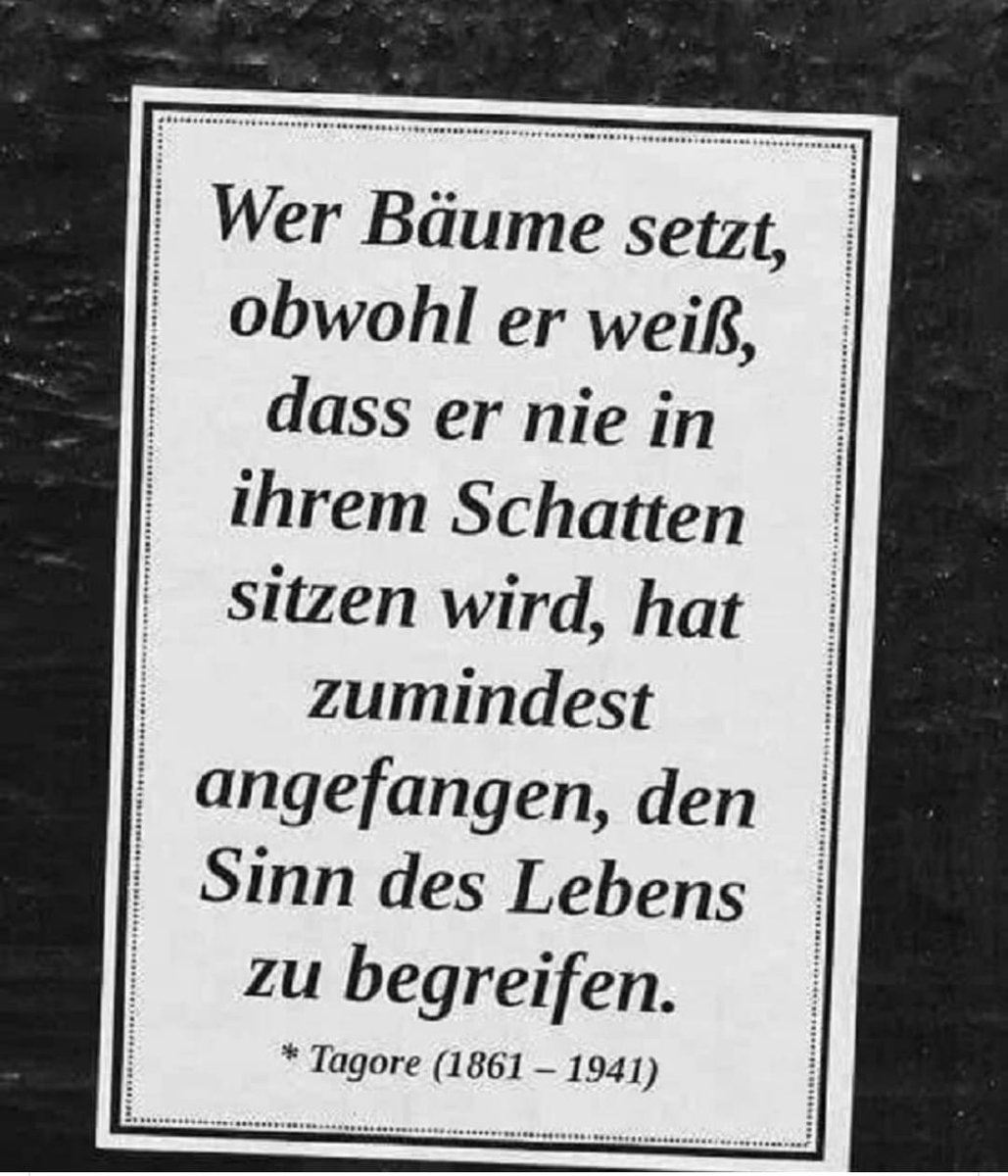 Bäume statt Zinsen - Geld anlegen mit gutem Gefühl. die ökologische #Nachhaltigkeit liegt uns am Herzen #SinnvorGewinn #anderswirtschaften #ethicalbanking @EthischeBanken @n_investieren