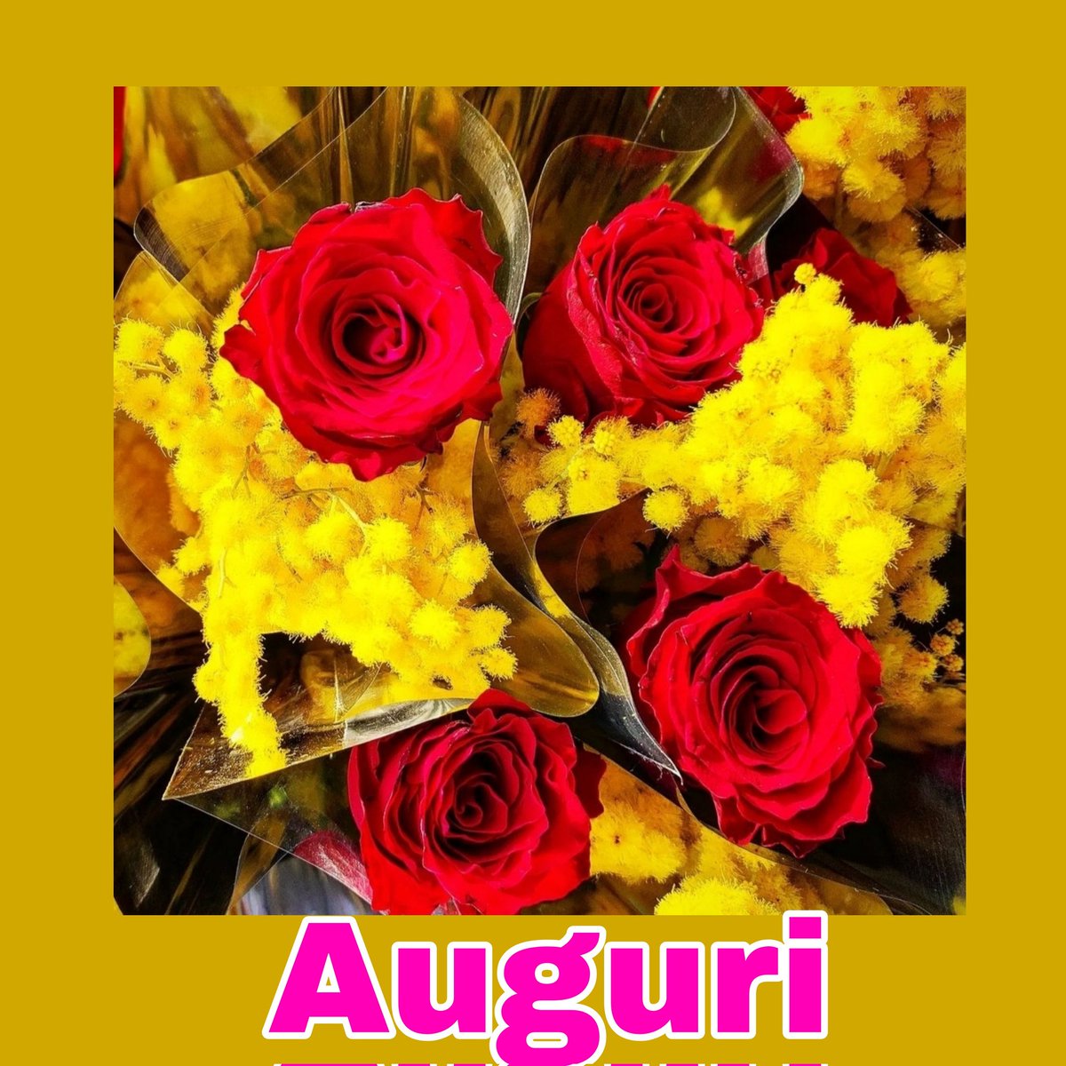 Consuelo (@consuq66) on Twitter photo 
