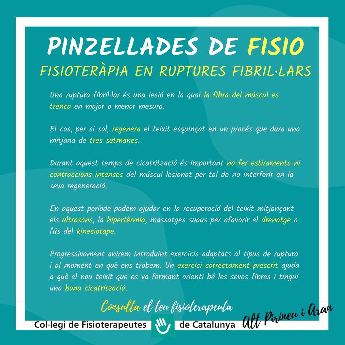 RUPTURES FIBRILARS @flaut4 @colficat <a href="/salut_cat/">Salut</a> @colficatlleida @colficatcentral @colficatebre @radioseu @fshlaseu
#fisioteràpia #fisioterapia