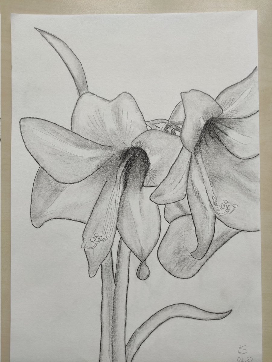 The Dango Man 🍡 tweet media