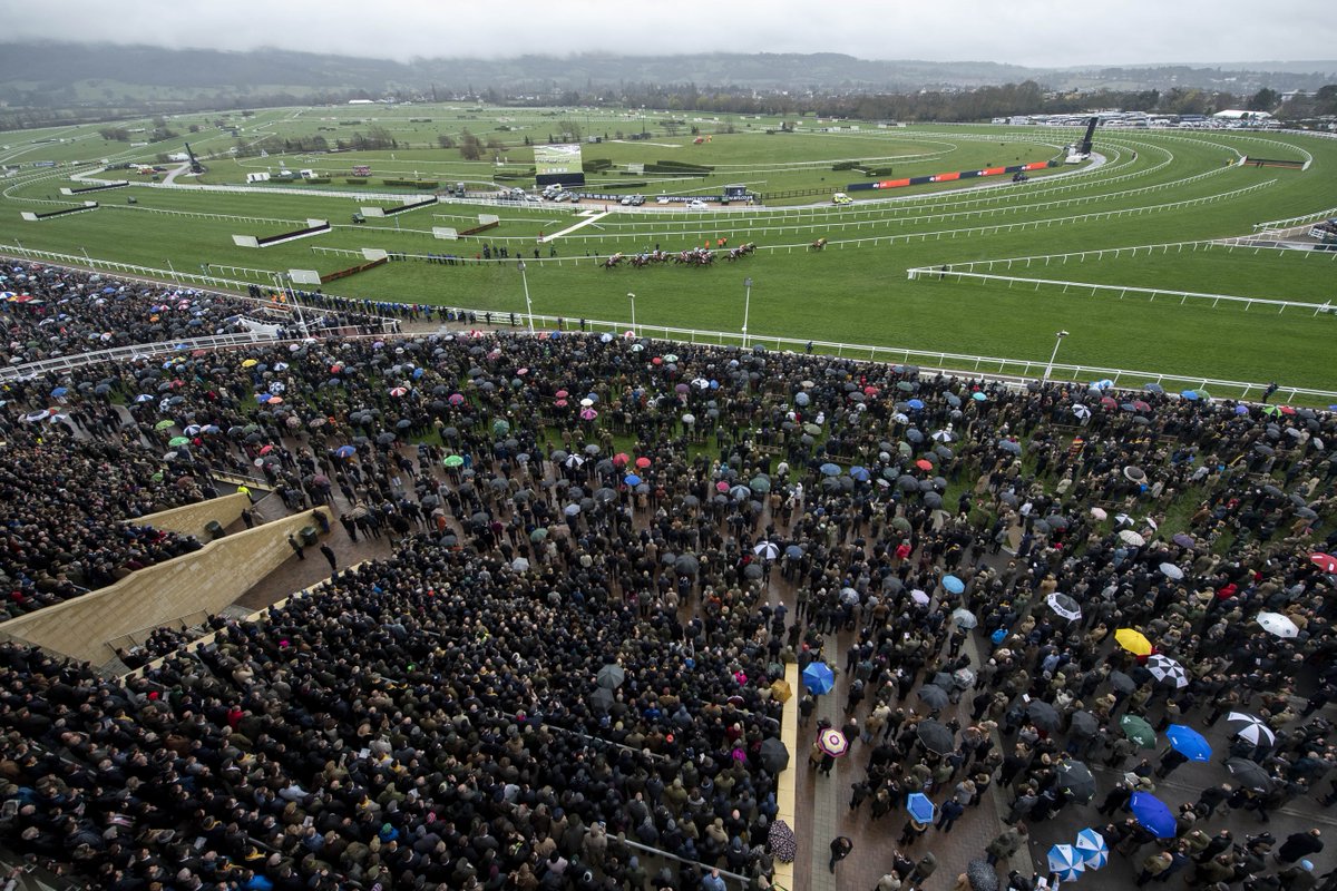 RacingPost's tweet photo. This time next week...

#TheRoarReturns at Cheltenham 😍 https://t.co/BV4SDpy3A7